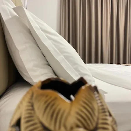 Vibe Comfort 호텔 3*